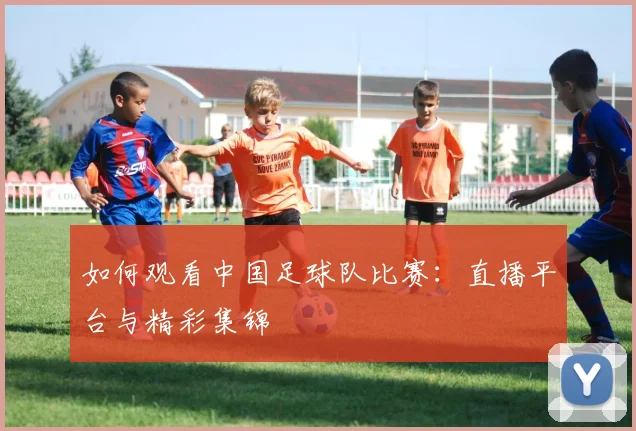 如何观看中国足球队比赛:直播平台与精彩集锦