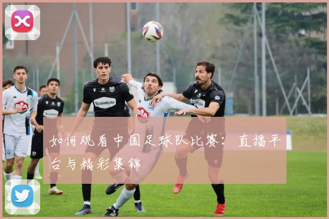 如何观看中国足球队比赛:直播平台与精彩集锦